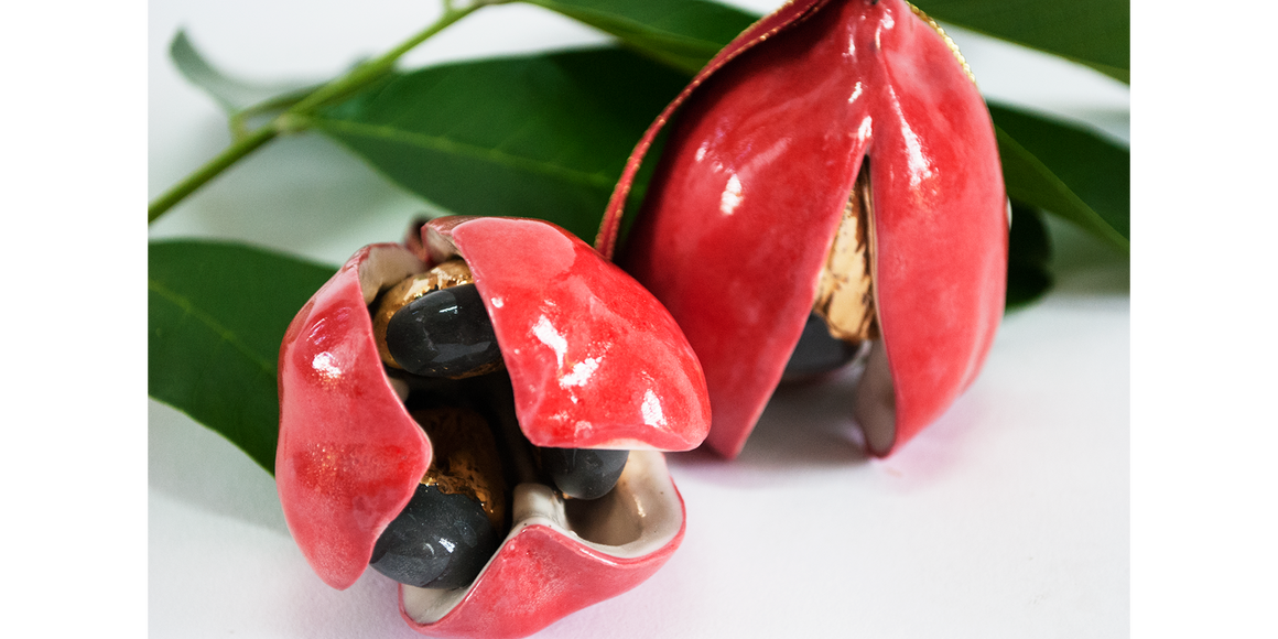 Holidays in the Tropics