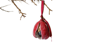 Ornament | ACKEE